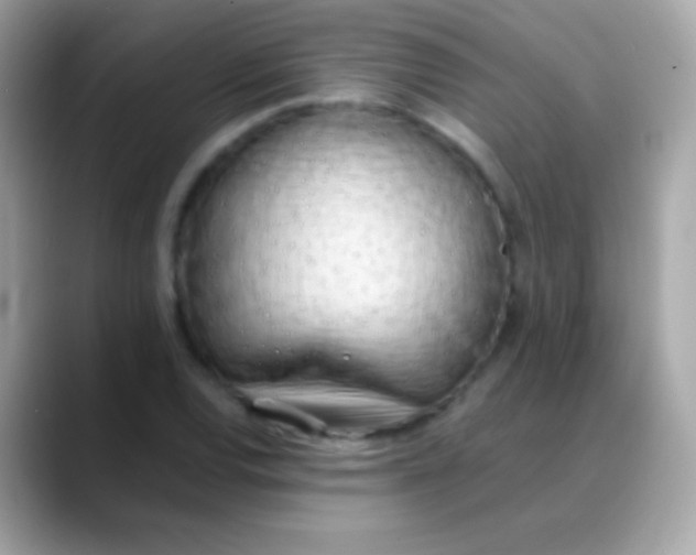 X0000088051120200706011337