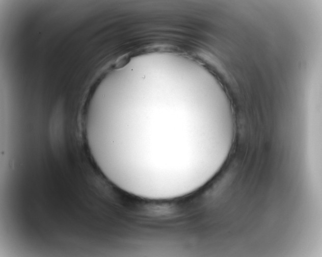 X0000088051121200706011337