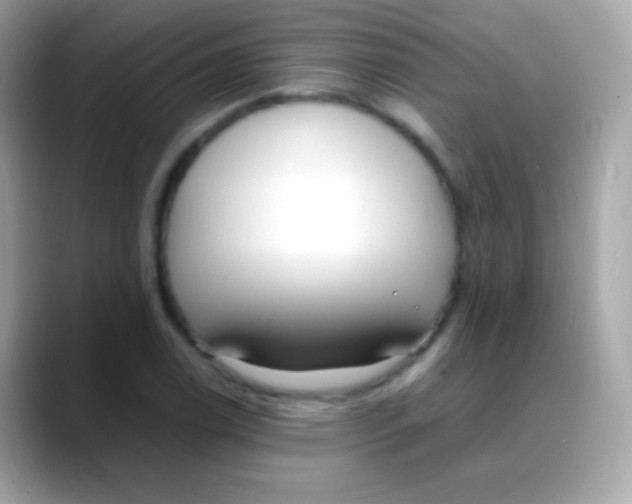 X0000088051122200706011337