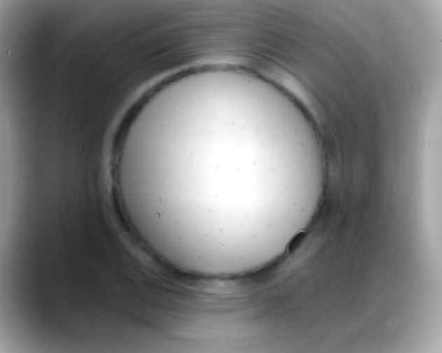X0000088051124200706011337