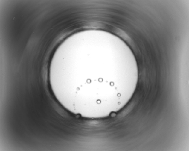 X0000088051130200706011337