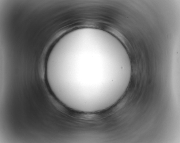 X0000088051131200706011337