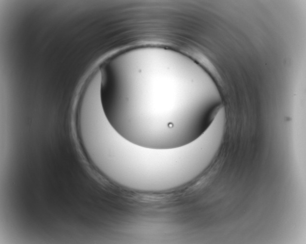 X0000088051132200706011337