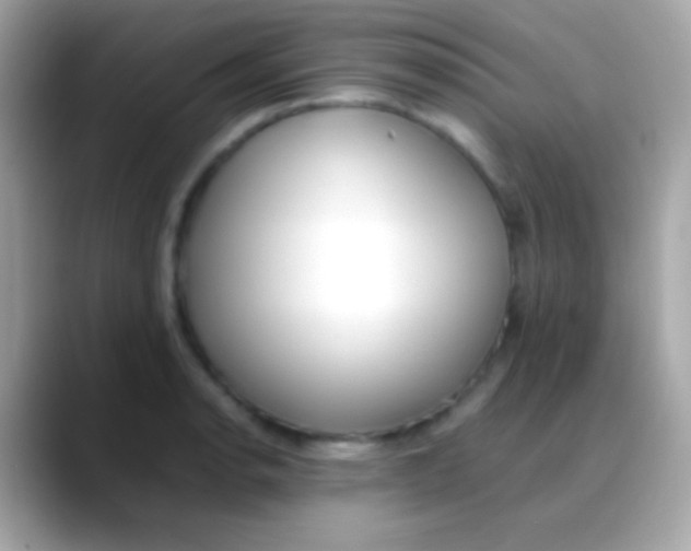 X0000088051134200706011337