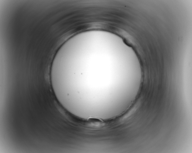 X0000088051137200706011337