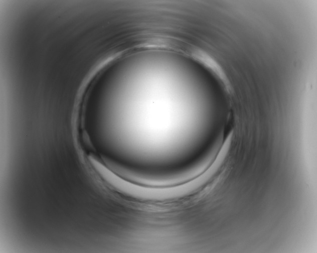 X0000088051138200706011337