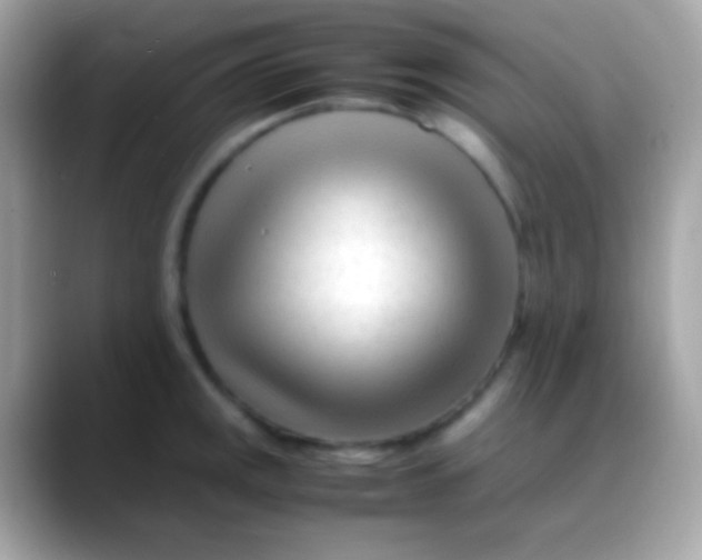 X0000088051141200706011337