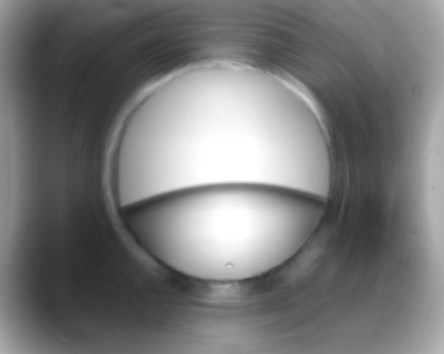 X0000088051144200706011337