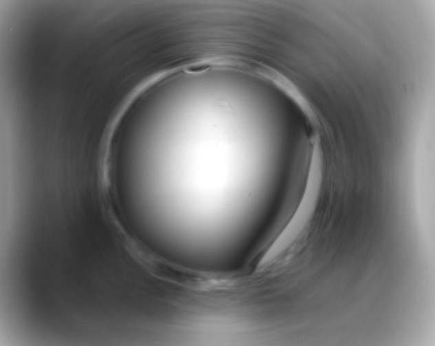 X0000088051148200706011337