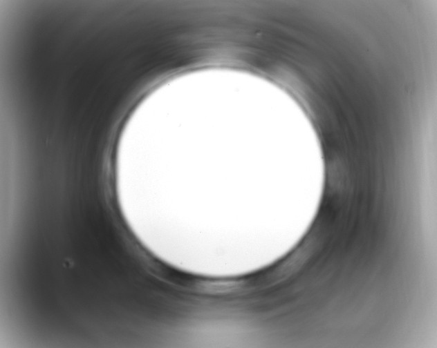 X0000088051150200706011337