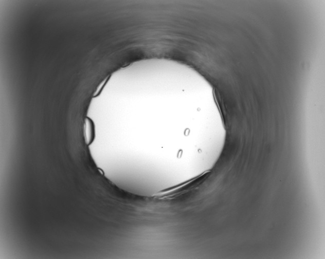 X0000088051153200706011337