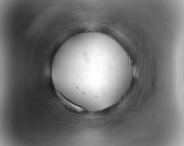 X0000088051155200706011337