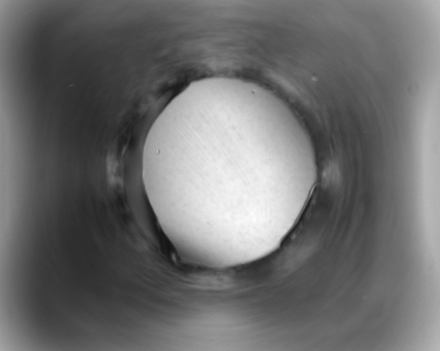 X0000088051156200706011337