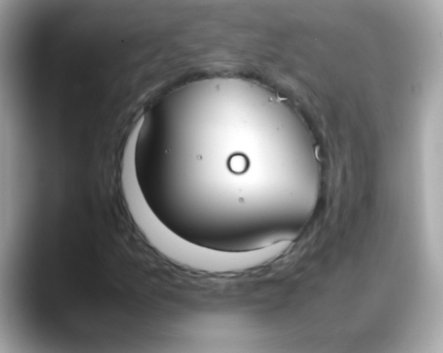 X0000088051157200706011337