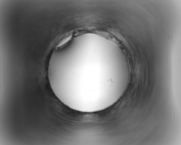 X0000088051160200706011337