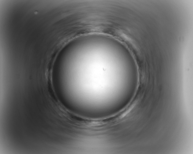 X0000088051161200706011337