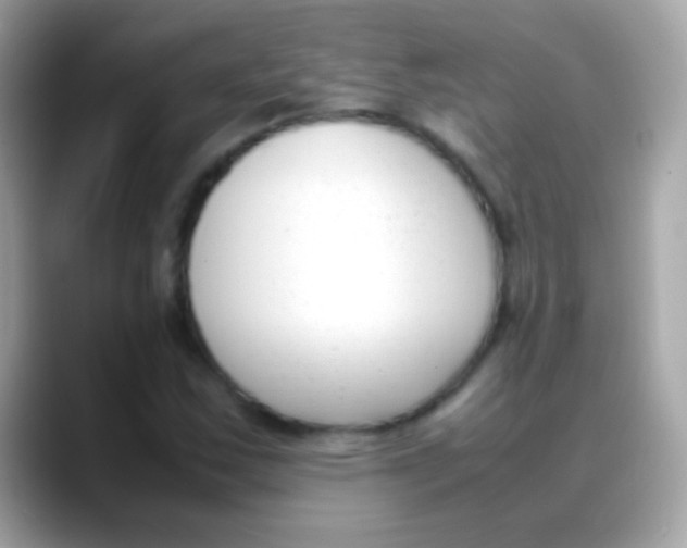 X0000088051163200706011337