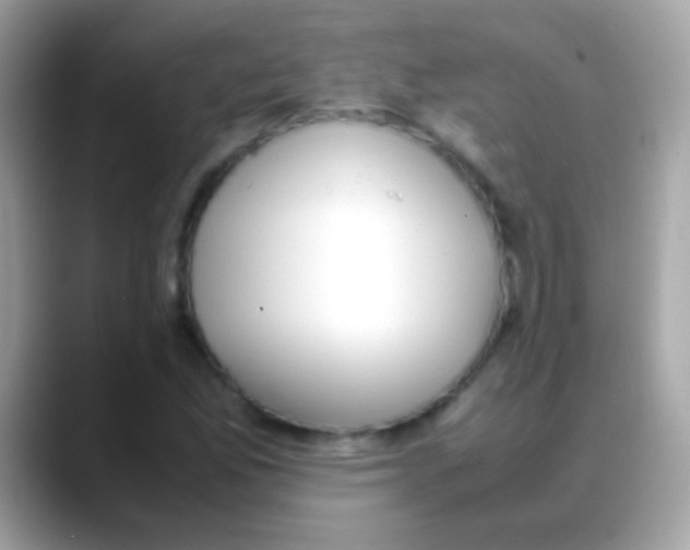 X0000088051165200706011337