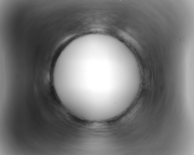 X0000088051166200706011337