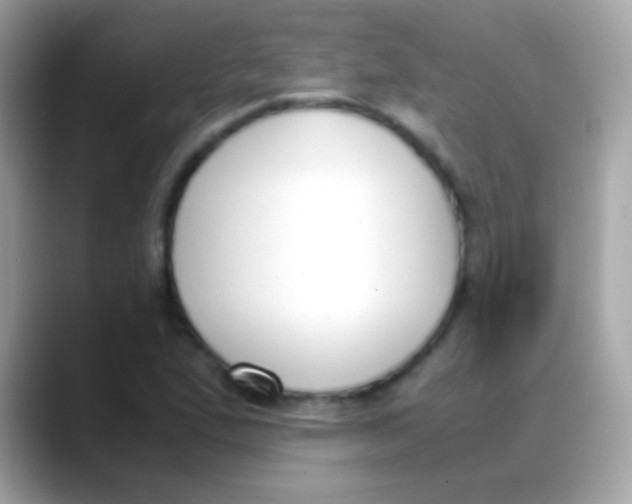 X0000088051167200706011337