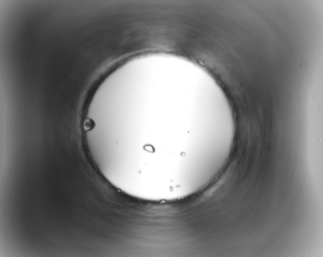 X0000088051168200706011337