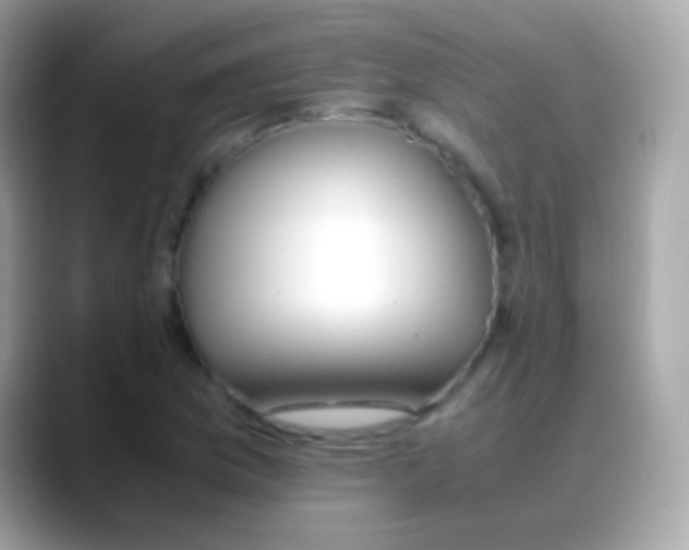 X0000088051169200706011337