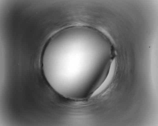 X0000088051173200706011337