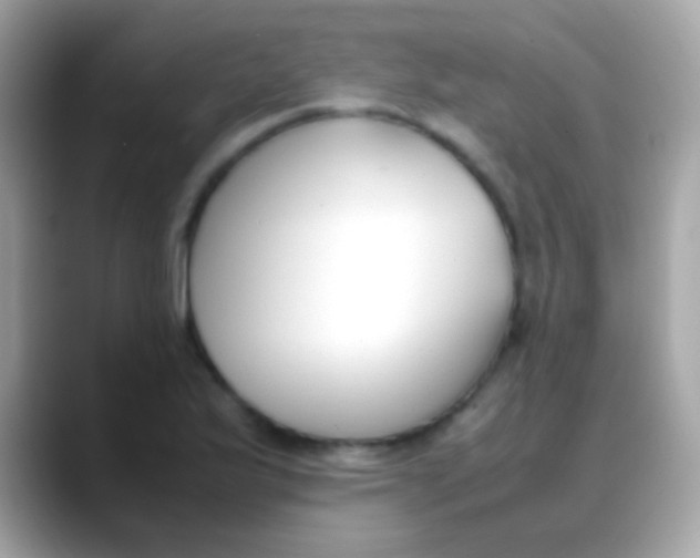 X0000088051175200706011337