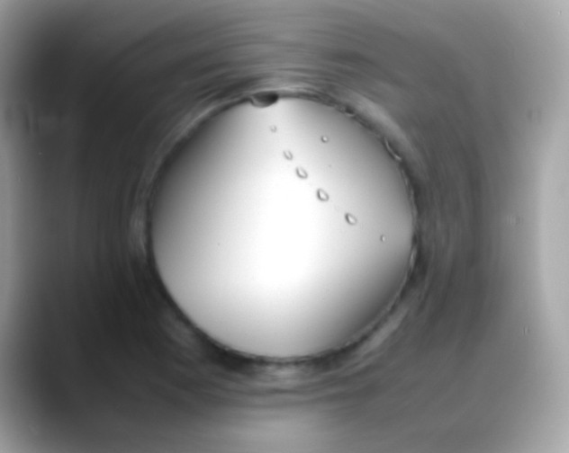 X0000088051177200706011337