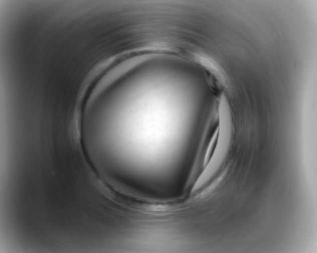 X0000088051180200706011337