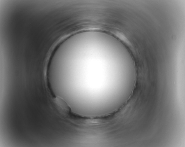 X0000088051181200706011337