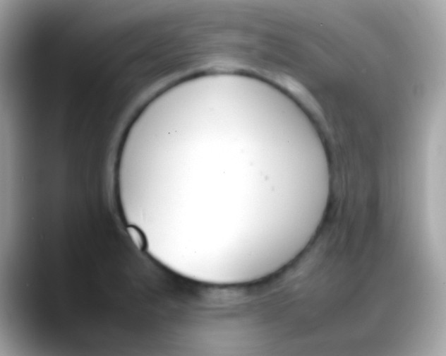 X0000088051183200706011337