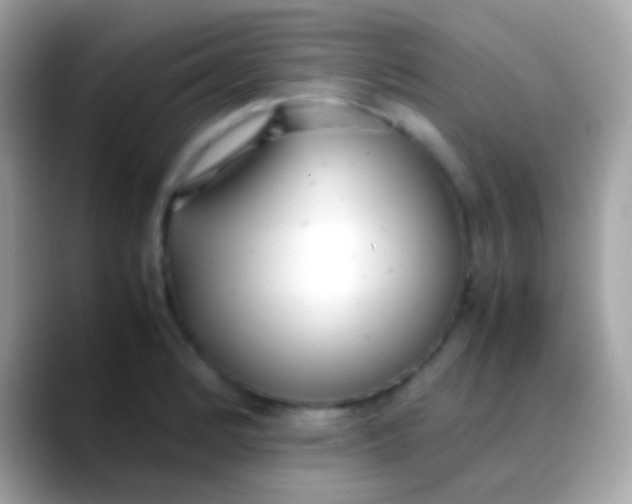 X0000088051184200706011337