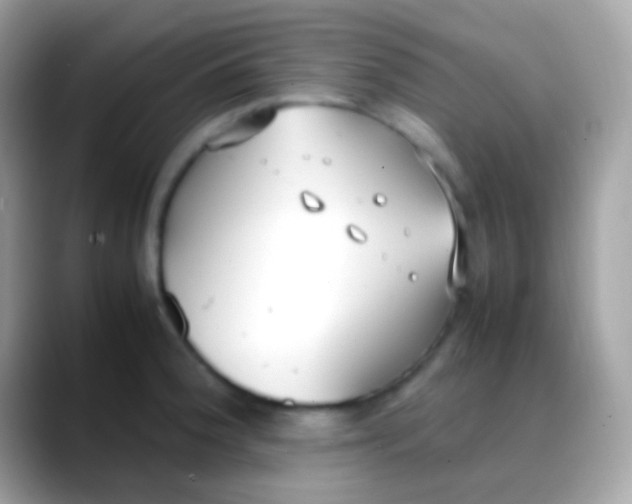 X0000088051188200706011337