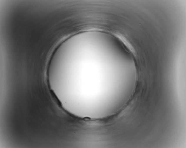X0000088051189200706011337