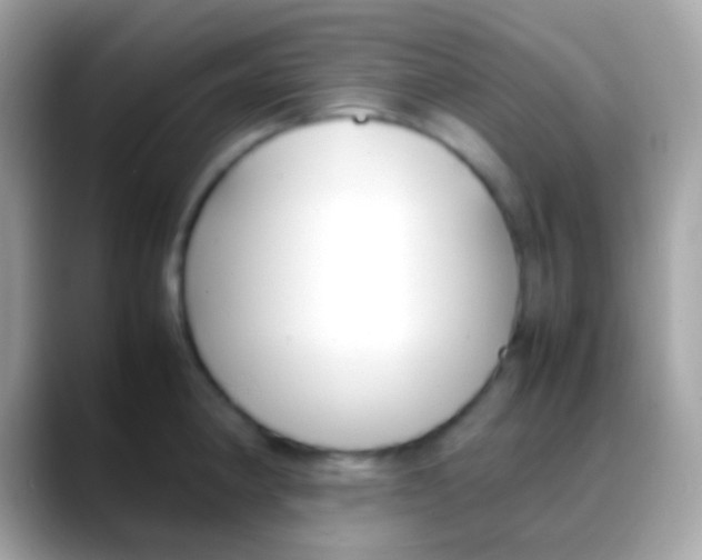 X0000088051190200706011336