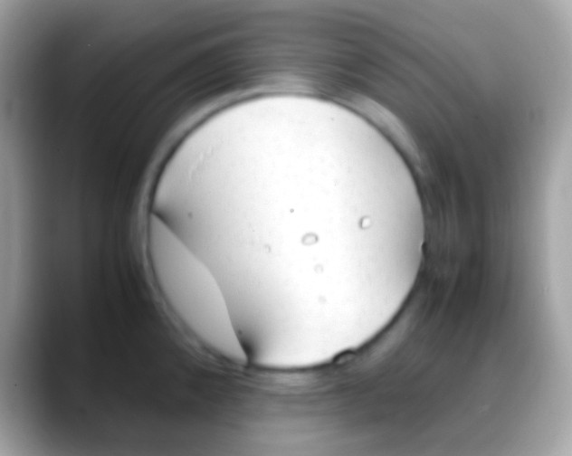X0000088051192200706011336