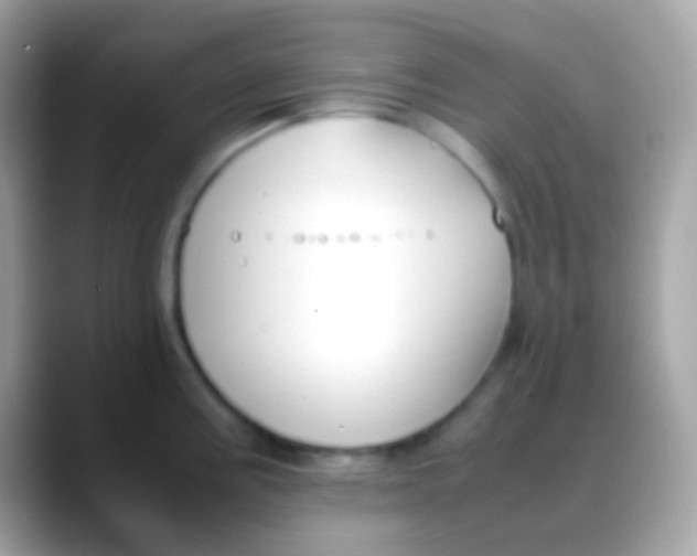 X0000088051195200706011336