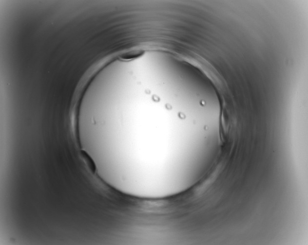 X0000088051196200706011336