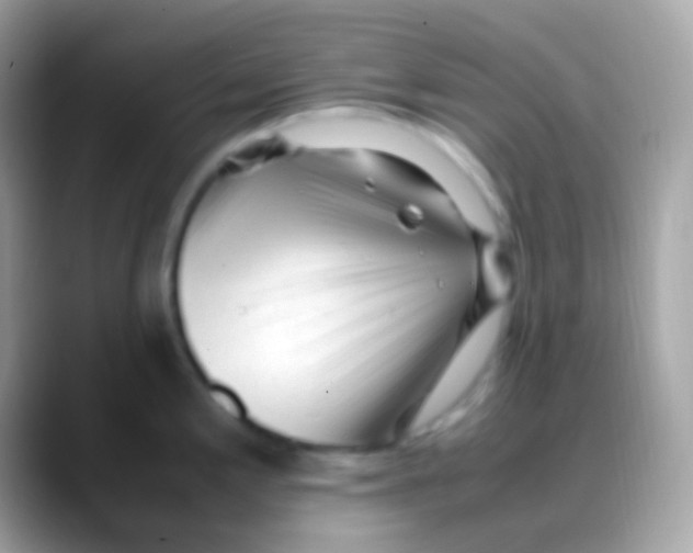 X0000088051197200706011336