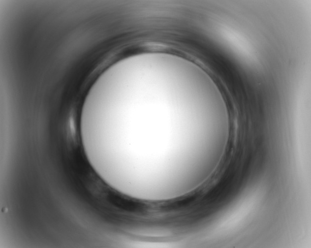 X0000088051198200706011336