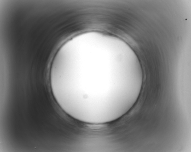 X0000088051200200706011336