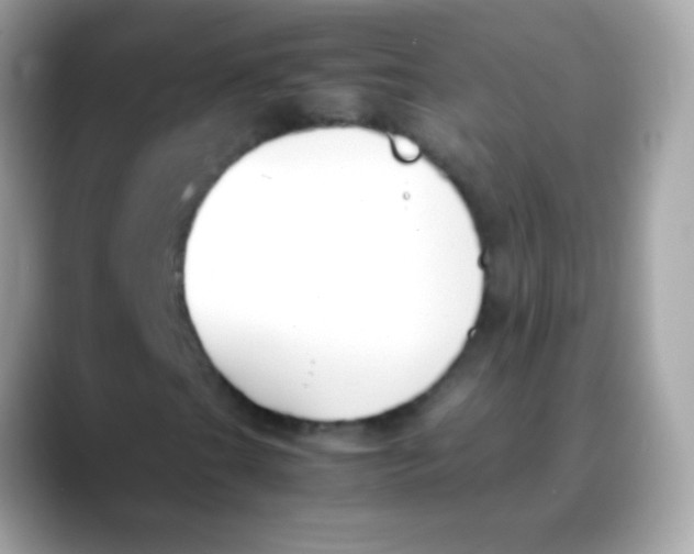 X0000088051201200706011336