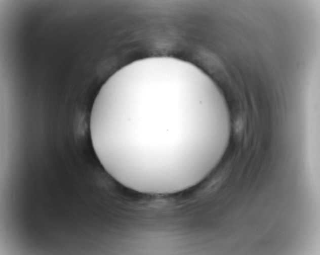 X0000088051204200706011336