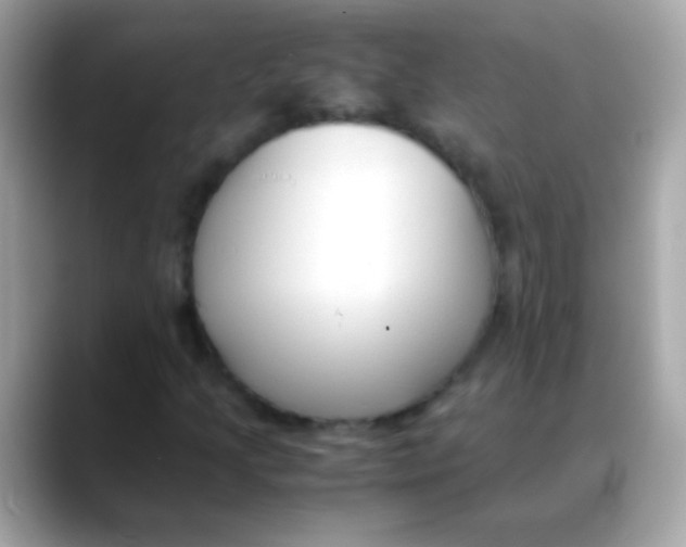 X0000088051205200706011336