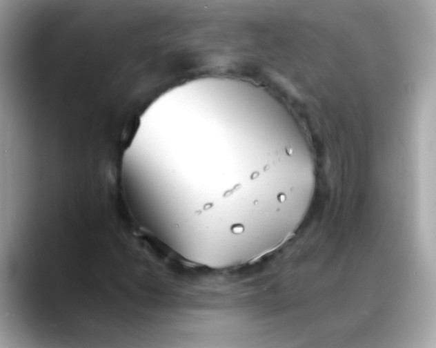 X0000088051206200706011336