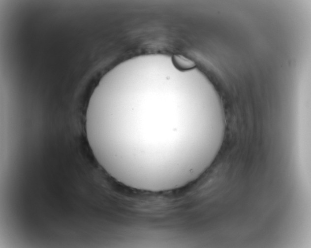 X0000088051207200706011336