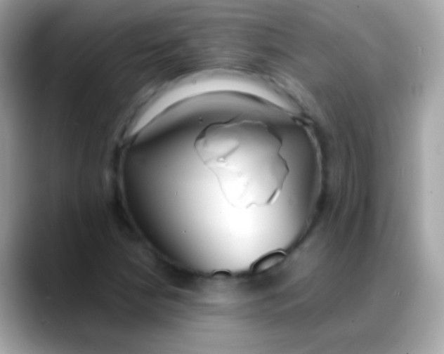 X0000088051210200706011336