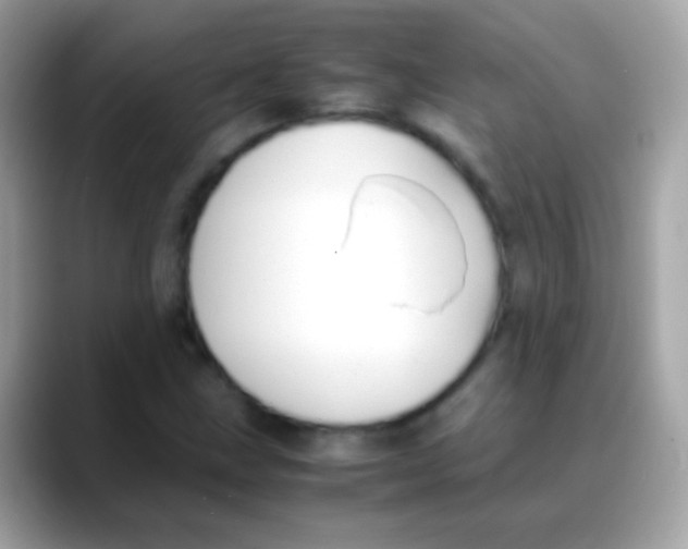 X0000088051211200706011336