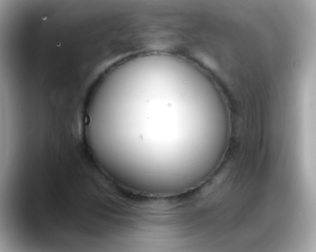 X0000088051214200706011336